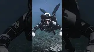 Are you venting gas from your BC correctly ? #scubadiving #skills #diving #underwater #howto