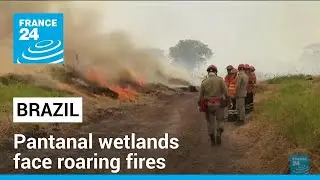 Brazil's Pantanal wetlands face roaring fires amid severe drought &bull; FRANCE 24 English