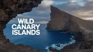 Wonders of Canary Islands  The Hidden Places No One Talks About!  Travel Video 4K