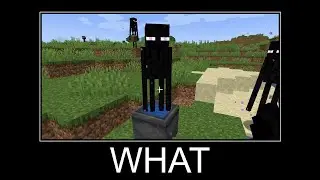 Minecraft Wait What Meme #4