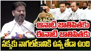 ఆనాటి జాతిపిత ఈనాటి జాతిపిత ll CM Revanth Reddy sensational comments on KCR ll SNTV 