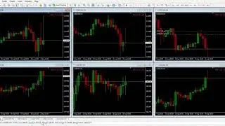 Live Forex Trading Real Account | Free Signal Service | Profit 950.48$
