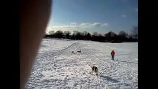 Norwalk Dog Park