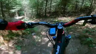 Woody-Trail  Waldkirch Ü - 65 MTB