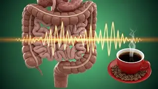 How Coffee Benefits and Affects the Body &ndash; 3D Medical Breakdown