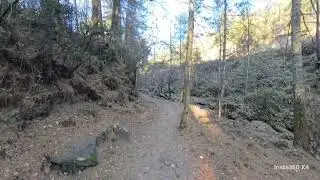Ancient Takin Trail