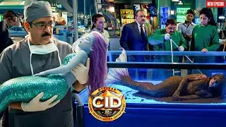 Dr. Salunkhe ने बचाई Karachi  के बंदरगाह में छुपी हुई जलपरी की जान || CID || Latest Episode 2026 ||