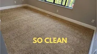 Move-Out Cleaning in the Seattle, WA Area! Insanely Clean Carpets!