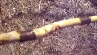 Custom made walking stick #4