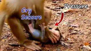 B-aby C-ry S-eizure On The Land Cos Of Mom P-ressure