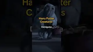 Harry Potter Creatures_ Demiguise ✨️ #gryffindor #slytherin #harrypotter #fantasticbeasts #newt