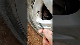 для чего на соске это чтушка на колесе #shorts #shorts #video #new #mercedes #car #trending