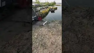 Lake Based Hydroponic Rice Field Cutting Process - Crafting Efficient Farming Techniques
