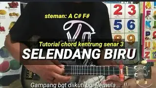 Tutorial chord gampang kentrung senar 3- SELENDANG BIRU (cocok buat belajar)