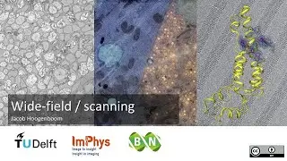Wide field/ scanning