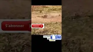 documenter