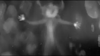 Purity Ring - neverend ((tachys remix)) (official music video)
