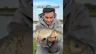 Windes vangen op de BROODKORST!!! - Zulke gave aanbeten! 🙏🏼😱
