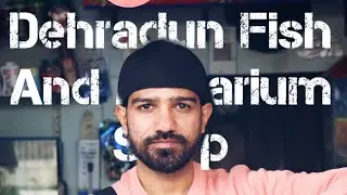 Dehradun Fish and Aquarium shop sharanpur chok Dehradun