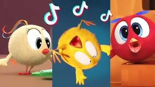 SHORTS CHICKY | COMPILATION TIKTOK #01 | Where's Chicky #shorts