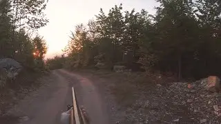 Lov na lisicu - Fox Hunting 2 🦊