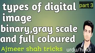 what are the types of digital image|binary image|grayscale image|full coloured image