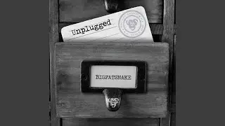 No Peace Like in Heaven (Unplugged)