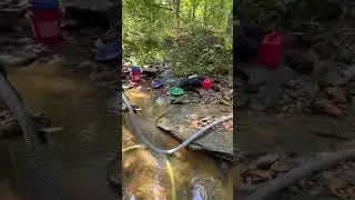 Gold dredge long Tom highbanke #goldprospecting #goldpanning #dredging