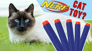 Do Nerf Darts Make Good Cat Toys?