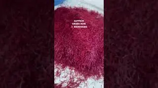 The Art of Harvesting Saffron: A Precious Journey 🌸✨ #shorts  #saffronmagic #unfrezzmyaccount #love