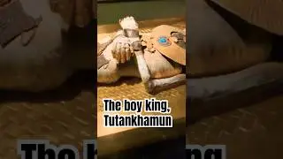 The Tragic Life of Tutankhamun: The Boy King