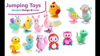 ADKD Colorful Key Wind up Bird and Animal Jumping Walking Toys (Random Design and Color)