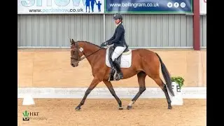 Rosie - Super Mother Daughter Share / Allrounder