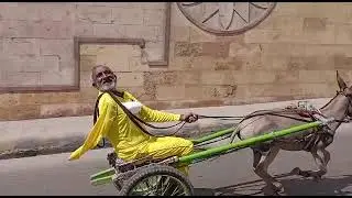 Donkey Race, Karachi