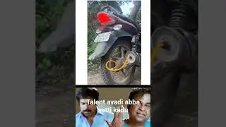 Talent#Hukum #viral #talaiva #song