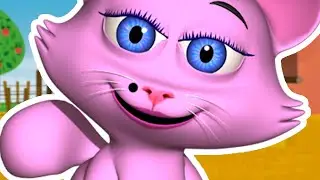 Kitty Cat | Zenon The Farmer