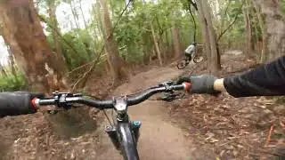 Fresh Upper Luge - South Hobart