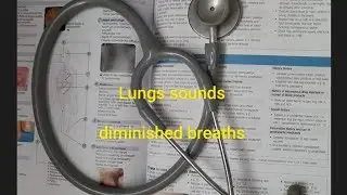 Lungs sound's.