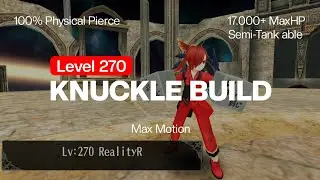 Toram Online - Knuckle Build Level 270 | Mid Budget & No DTE + Tier 5 Skills & Dark Skills