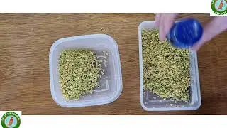 Mid Month Special on feeding my birds 🐦