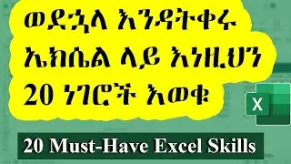 እነዚህን የግድ ማወቅ አለባችሁ / Stop Applying for Jobs Without These 20 Excel Skills