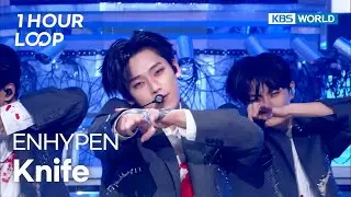 [1HR LOOP🔥] ENHYPEN - Knife [Music Bank] | KBS WORLD TV 260116