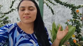 Receba essa Palavra e vença esse Mês !