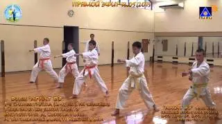 Начинающие 1 Средняя А гр Архат До 12-15 лет кихон каратэ 13 05 2013 г