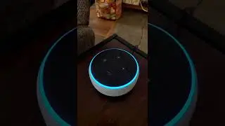 My dad, Alexa, and I are hanging out and telling some jokes. We are having a good time! #alexa 