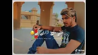 #shabbreetok Syed Shabbar Abbas Tiktok Status |Syed Shabbar Abbas Status Shabree tok Whatsapp Status