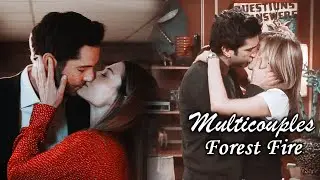Multicouples | Forest Fire