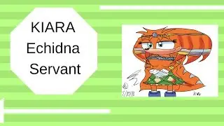 The Sonic RS and revolution of chaos KIARA Echidna Servant