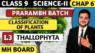 Thallophyta Division | Classification Of Plants | Class 9 | Lect No. 03 | Science - II | MH BOARD.