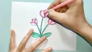How to Draw Flower Tulip Easy and Beautiful